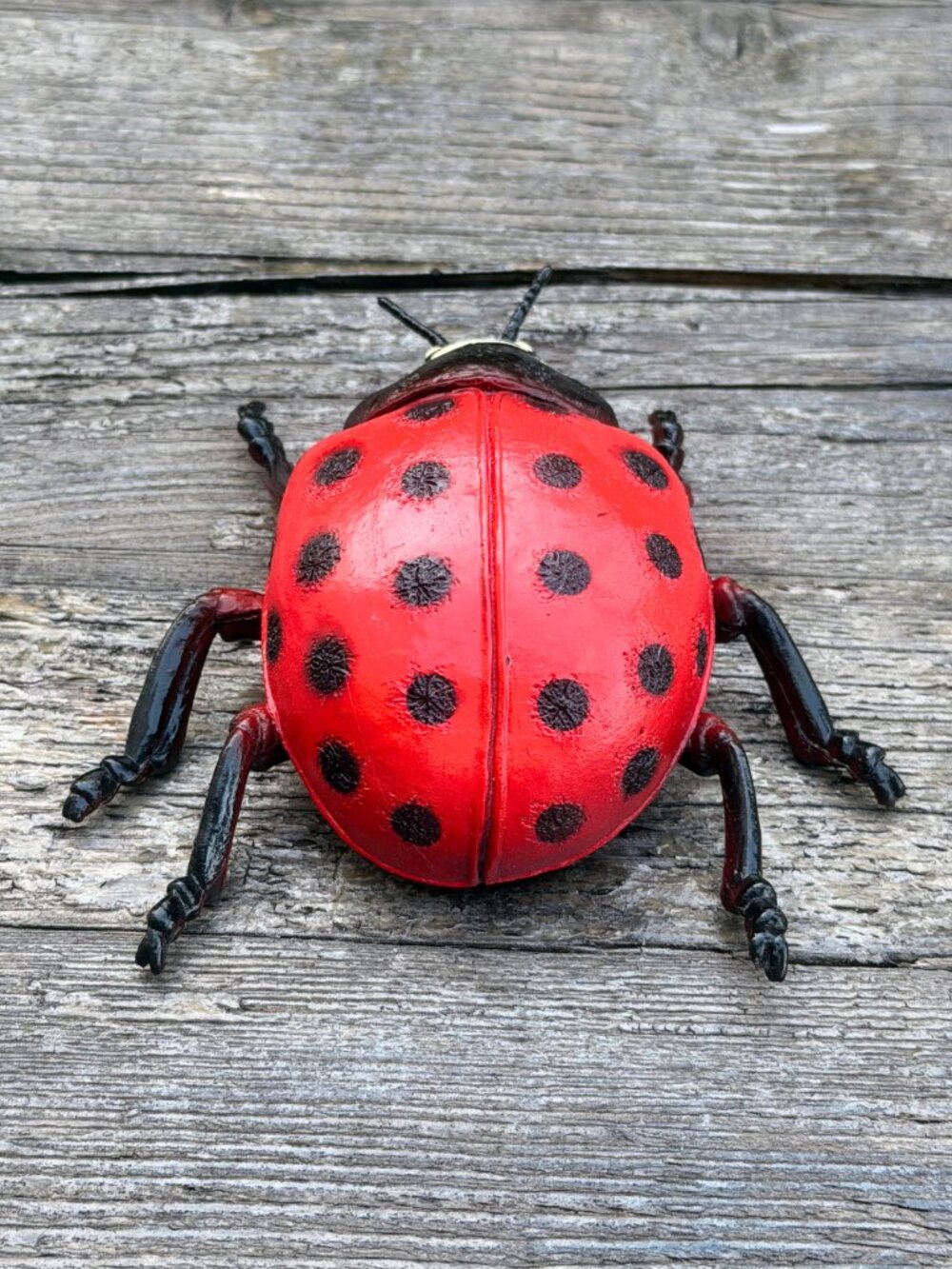 Luckystar Education Lady Bug Plastic Animal Figure Large 5" Science Nature Toy - Picture 5 of 10